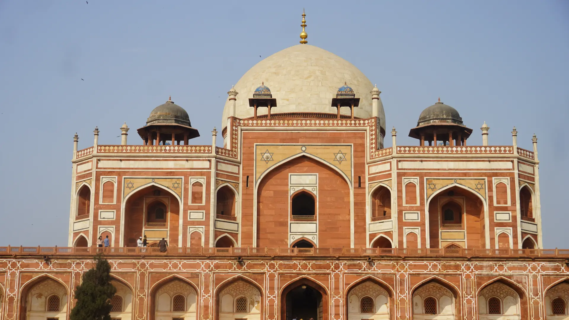 delhi delight