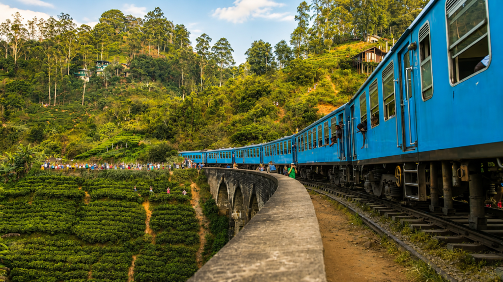 Scenic tea plantation railway view