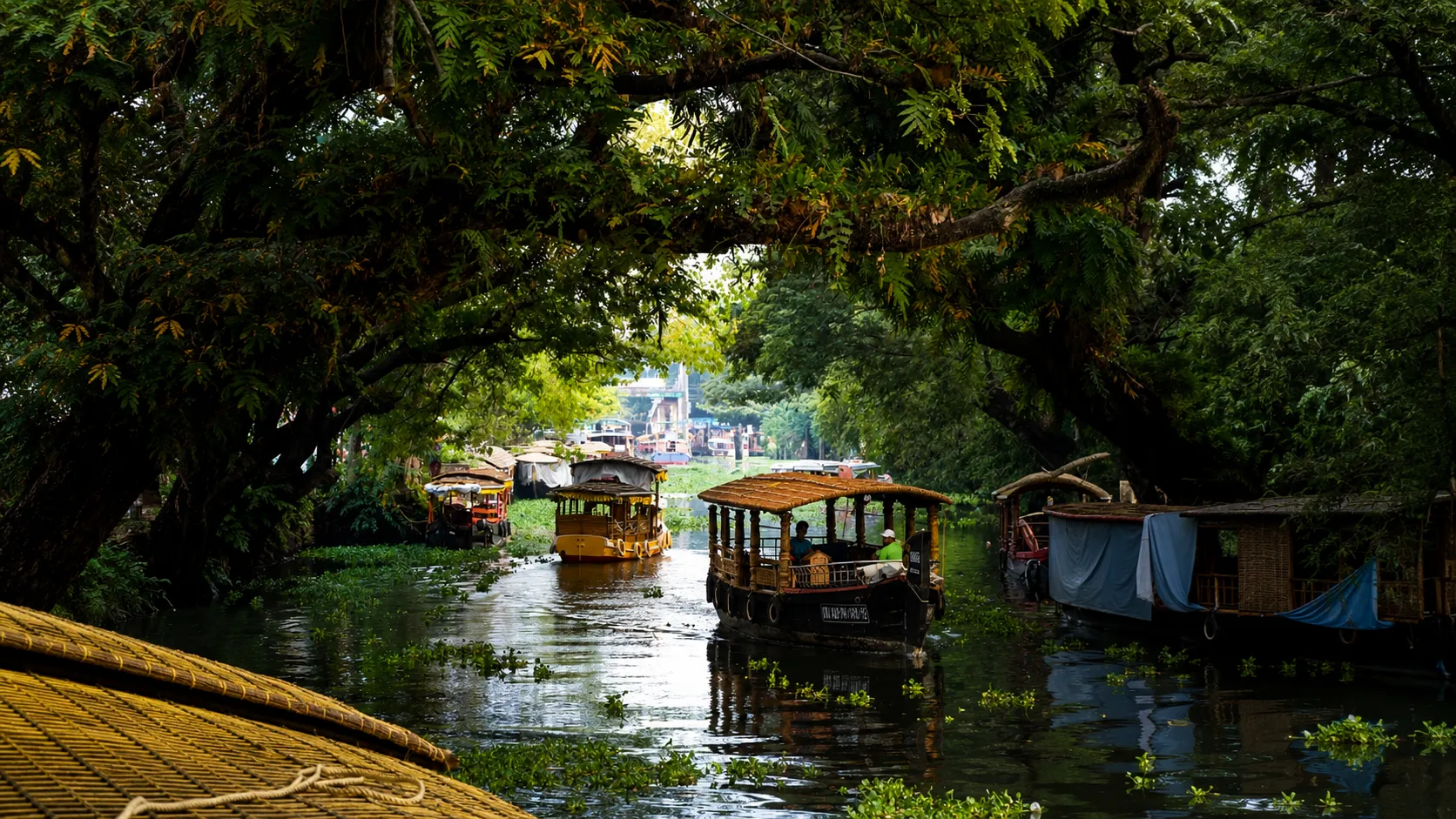 Traditional houseboats cruising through the serene Kerala backwaters beneath a lush green canopy, surrounded by calm waters, tropical trees, and vibrant natural scenery.