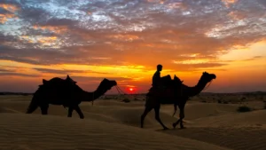 Rajasthan Travel Guide: Where to Go, When & How to Plan